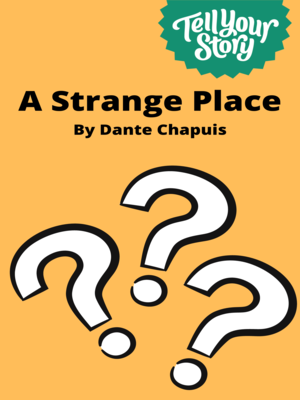 cover image of A Strange Place